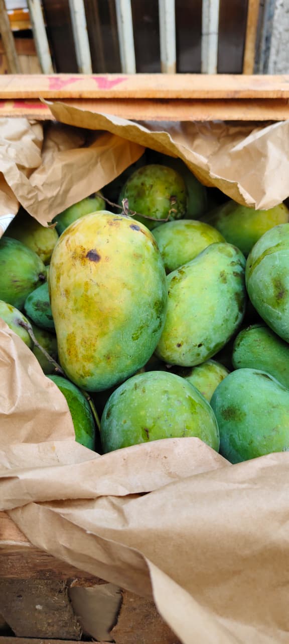 Produk Lush Daily #14