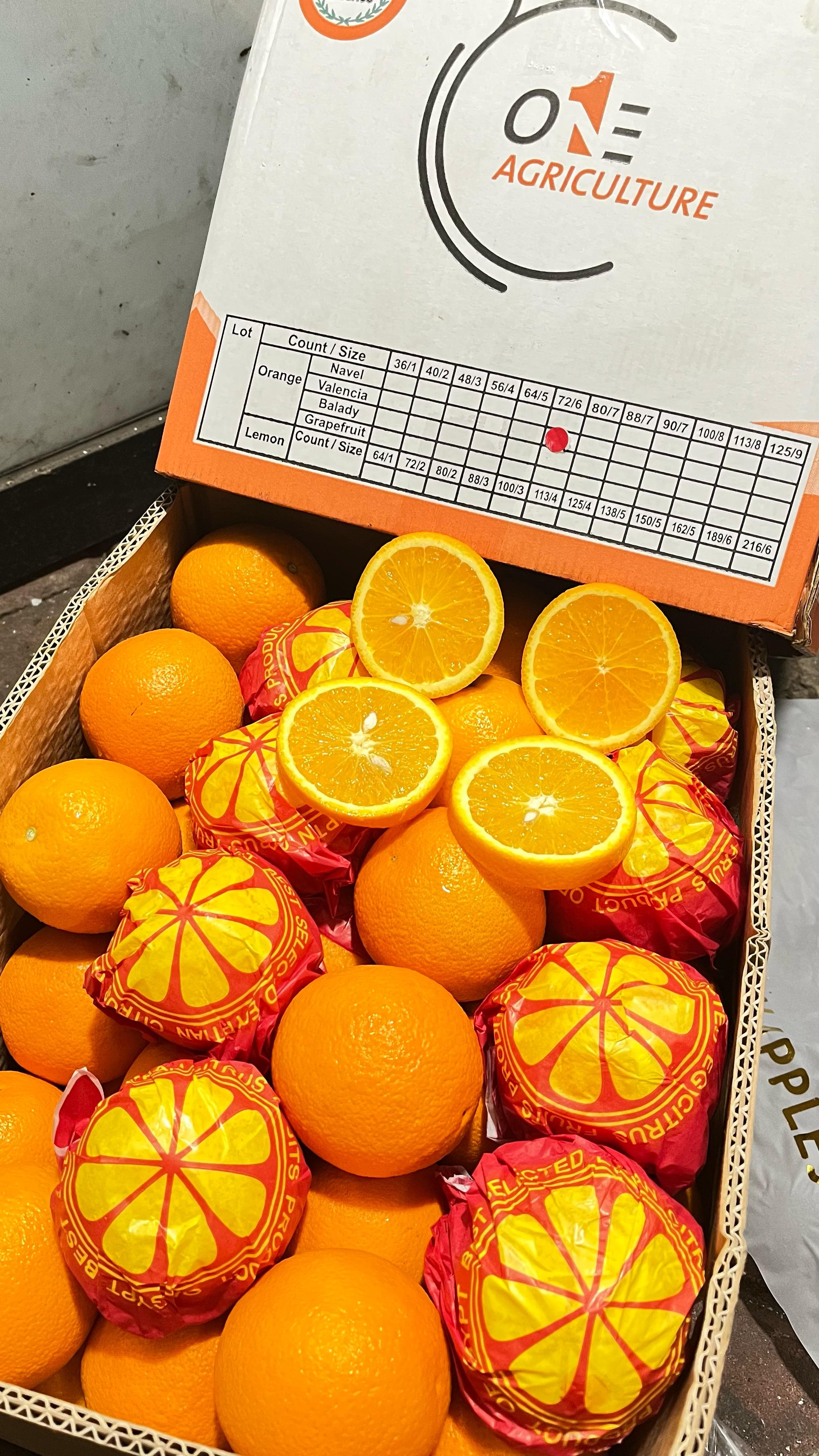 Produk Lush Daily #15