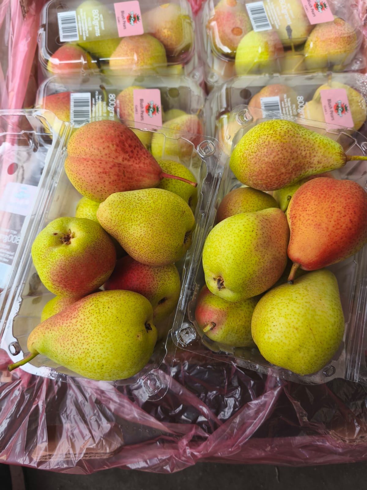 Produk Lush Daily #21