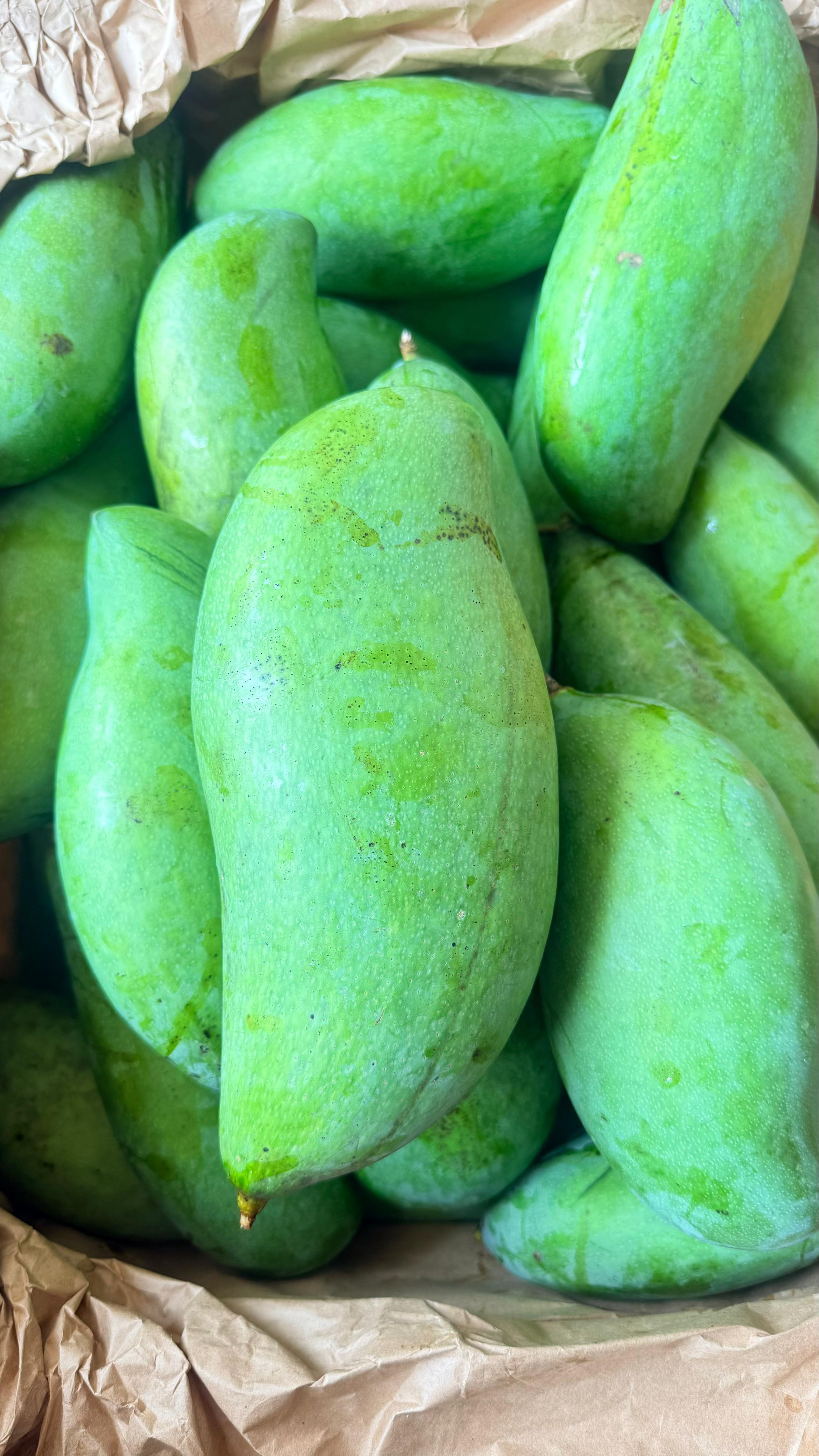 Produk Lush Daily #24