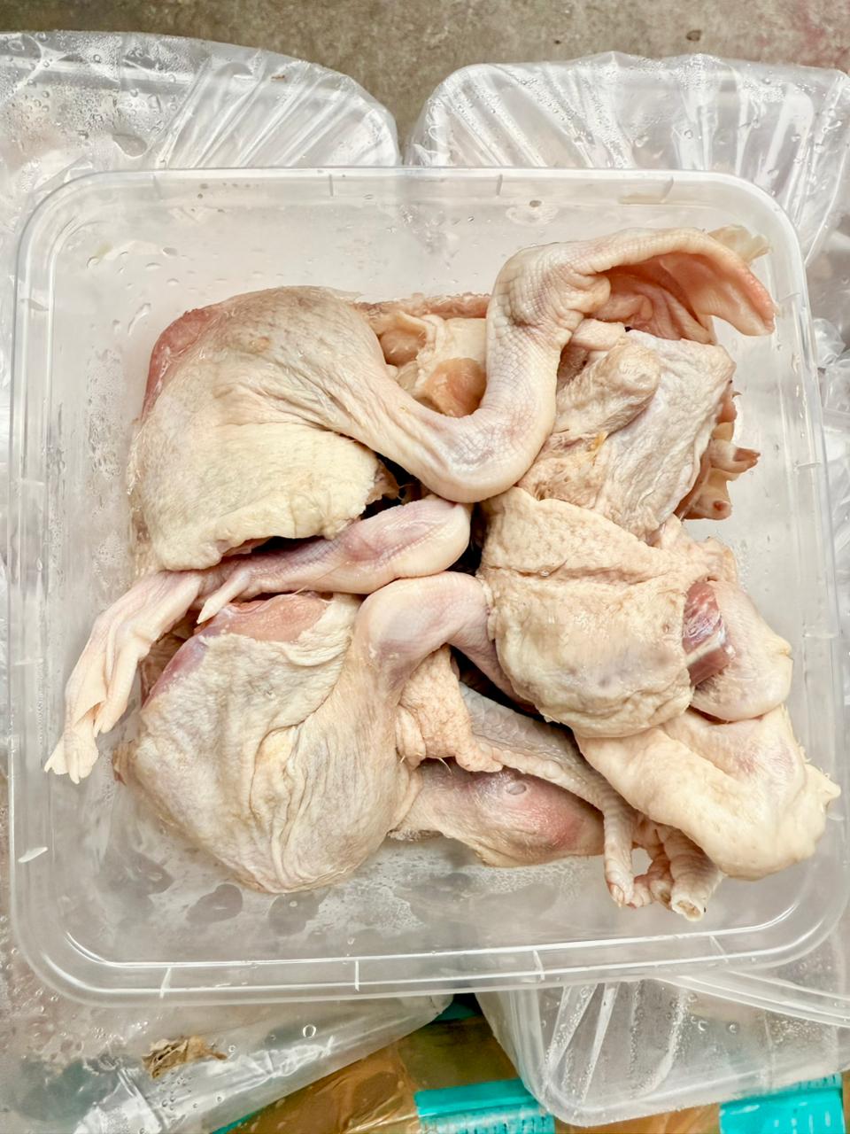 Produk Lush Daily #32