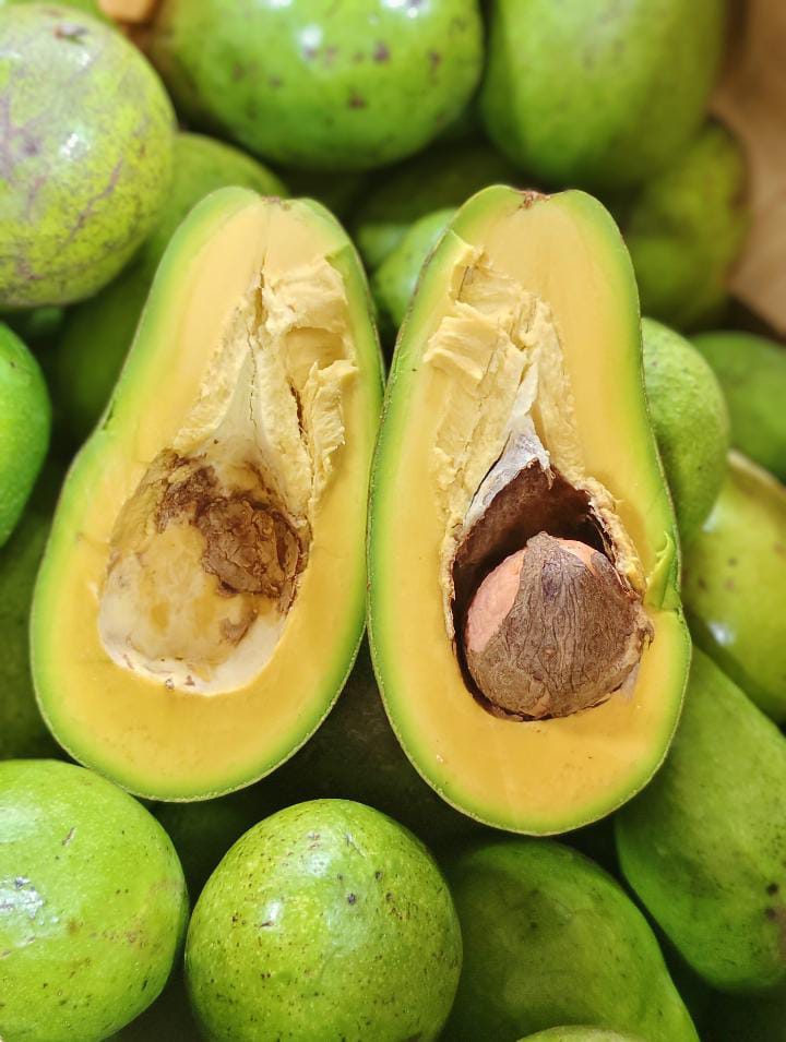 Produk Lush Daily #5