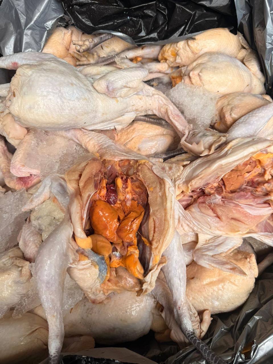 Produk Lush Daily #60