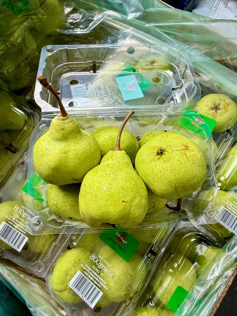 Produk Lush Daily #73