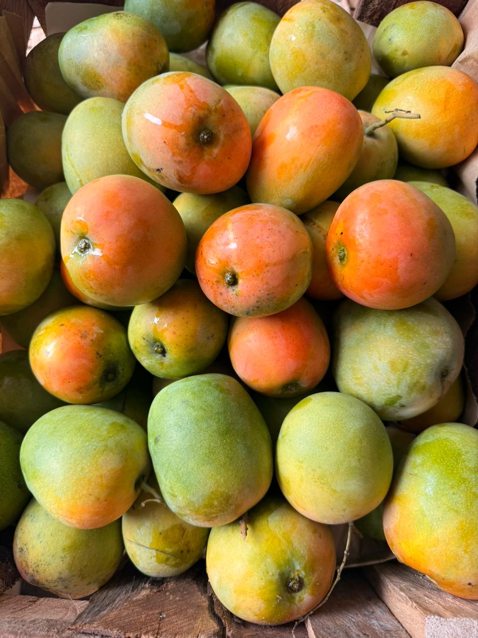 Produk Lush Daily #78