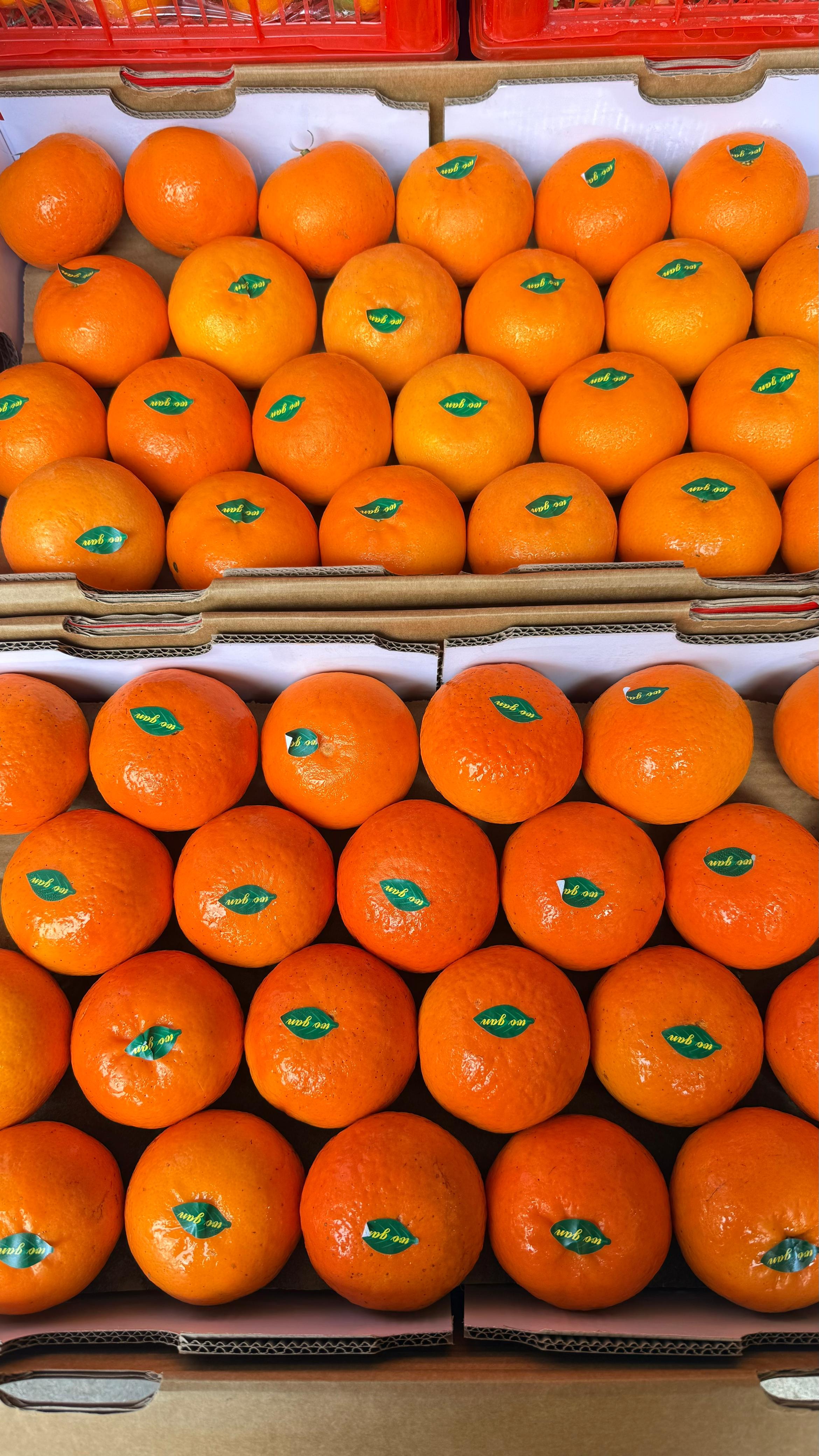 Produk Lush Daily #82