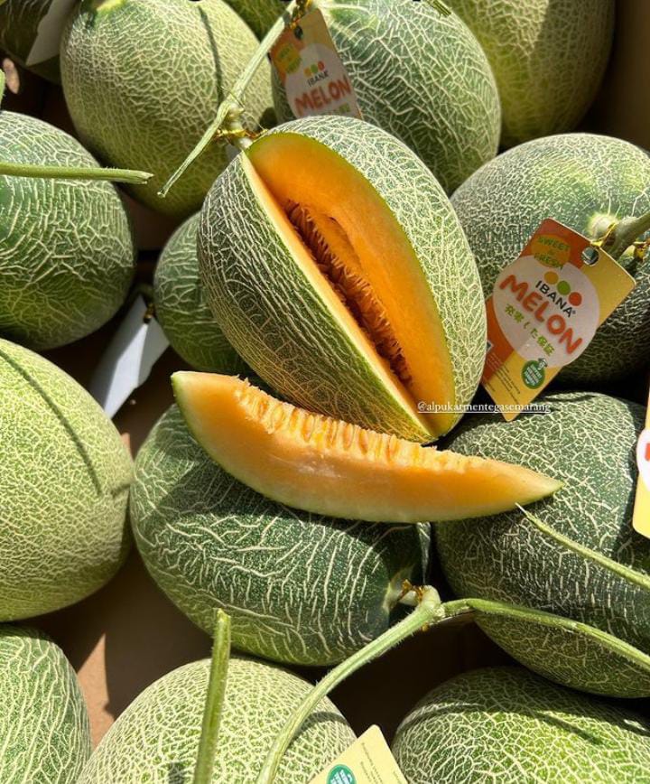 Produk Lush Daily #98